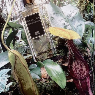 Idole de Lubin (Eau de Toilette) - Lubin