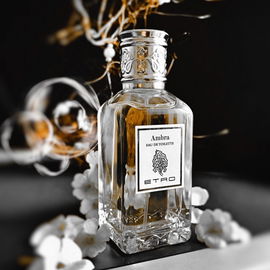 Ambra (Eau de Toilette) - Etro