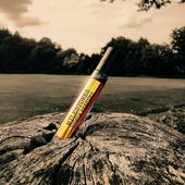 Halluzinogene Lederkissen.Blaue Pilze in Honig konserviert. Braunbär Leuchtpupille.Dunstende Haut.Boots.Roots. Paisley Filme auf OudTapete (von Seejungfrau)