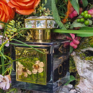 Aoud - Roja Parfums
