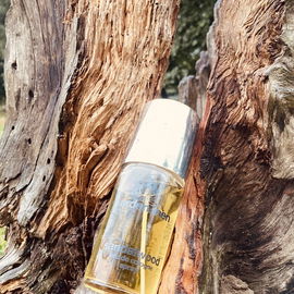 Arden for Men - Sandalwood (Eau de Cologne) - Elizabeth Arden