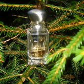 22.12. nach Einbruch der Dunkelheit mit Blitzer auf kleiner Tanne im Tannenwald, Teil meines Wichtelgeschenkes. (by Soraya)