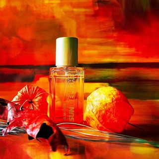 Sun Delight by Jil Sander