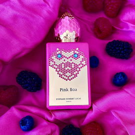 Pink Boa - Stéphane Humbert Lucas