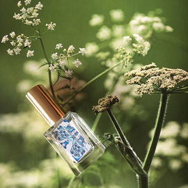 Omnia Coral (Eau de Toilette) - Bvlgari