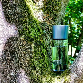 Armani Mania pour Homme (Eau de Toilette) - Giorgio Armani