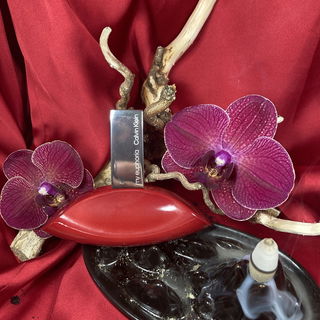 My Euphoria - Calvin Klein