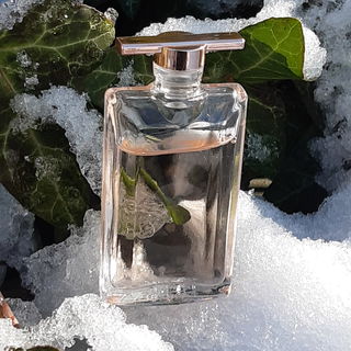 ❄💙🪄🥰 Eiszeit. An einem frostigen Dezembertag zeigt sich der Winter von seiner schönen Seite. Ich wünsche Euch einen guten Start ins Neue Jahr mit vielen schönen Momenten und guten Düften.  Ich freue mich über Euren Besuch und sage Danke. Alles Gute und liebe Grüße Kailani ❄💙🪄🥰
