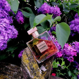 Gabrielle Chanel (Eau de Parfum) - Chanel