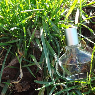 Pure DKNY - Verbena / A Drop of Verbena von DKNY