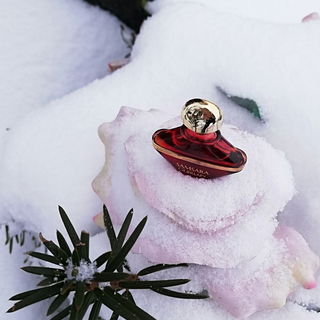 Samsara (Extrait) - Guerlain