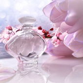 .. der Kuss des Frühlings ....  - (Mini) (von IrisNobile)