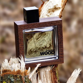 He Wood Rocky Mountain Wood - Dsquared²