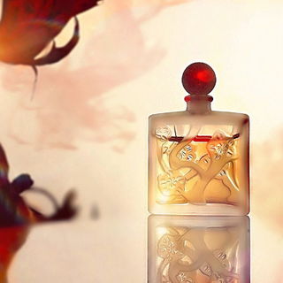 Ombre d'Or (Eau de Parfum)