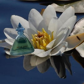 In der Ruhe liegt die Kraft. Ming Shu ist ein frisch sinnlicher Duft voller meditative Reflexe.
