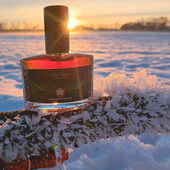 Eis-Blumen ❄️🌸❄️ (by ElAttarine)