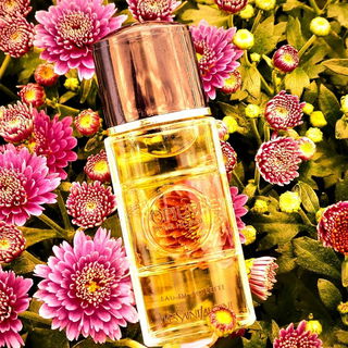 Lieben und herzlichen Dank für Eure Kommentare zum Foto.