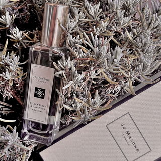 Silver Birch & Lavender von Jo Malone
