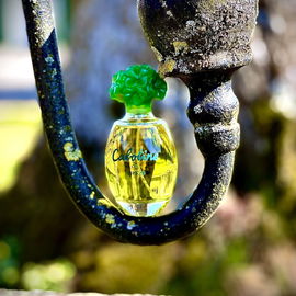Cabotine (Eau de Toilette)