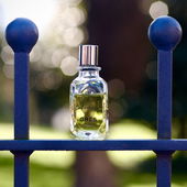 🌳 Flakon mit Aussicht 🌳  Danke, ihr Lieben, fürs Vorbeischauen und für eure Kommentare. Ich wünsche euch eine wunderschöne Woche.  LG 🙋‍♂️🥰💛 (by Myfumi)