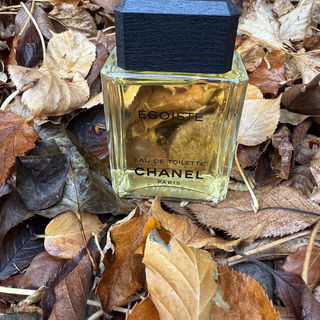 Égoïste (Eau de Toilette) von Chanel