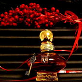 Mit der Zauberkugel (by Camey5000)