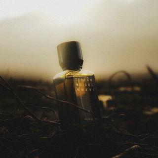 Terram - D:SOL MMXVI
