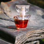 Ein Liebesgedicht ins Bronzebuch geschrieben, die Bronze ist verwittert, die Liebe ist geblieben. (von Zora)