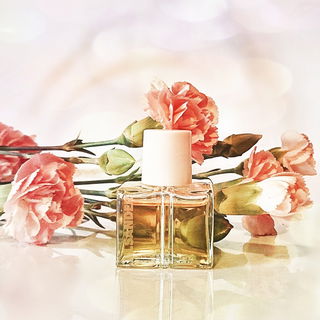 Woman Two - Jil Sander