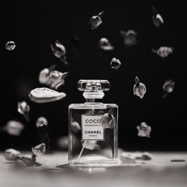 L'Impératrice - Dolce & Gabbana