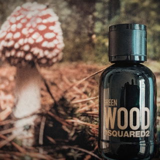 Green Wood - Dsquared²