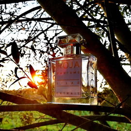 Lilac - Roja Parfums