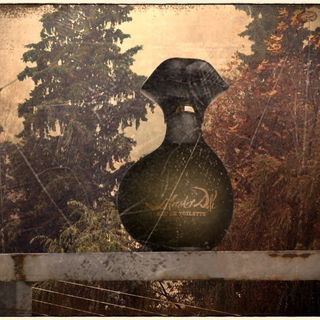 Dali pour Homme (Eau de Toilette) - Salvador Dali