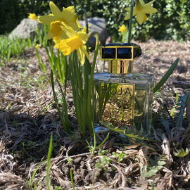 Spring is here finally. 😊