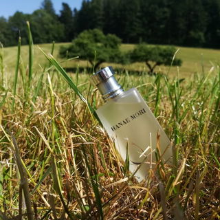HM (Eau de Parfum) von Hanae Mori / ハナヱ モリ