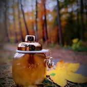 Danke für's Vorbeischauen 🧡 (von DorisKa)