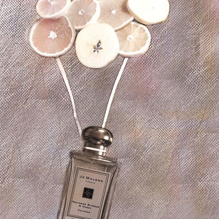 Nectarine Blossom & Honey (Cologne) by Jo Malone