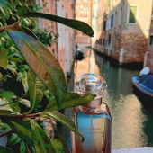 Wo viel Licht ist und viel Schatten - blumig-melancholisch! (by ElAttarine)