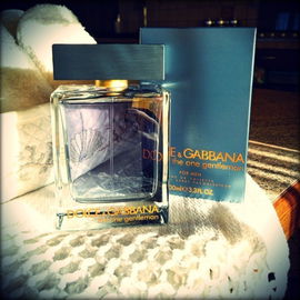 The One Gentleman (Eau de Toilette) - Dolce & Gabbana