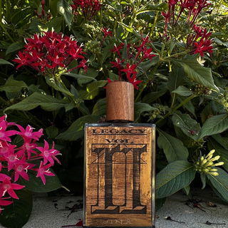 Oud Ertugrul (Pure Parfum) - Ensar Oud