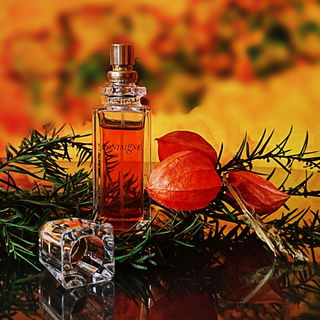 Montaigne (2007) (Eau de Parfum) - Caron