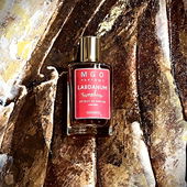 …📷🌍 Thank you. Danke schön. Merci beaucoup. Muchas gracias. Dōmo arigatō gozaimasu 💐… (von Kokusai)