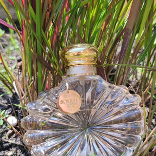 Soleil Lalique (Eau de Parfum) von Lalique