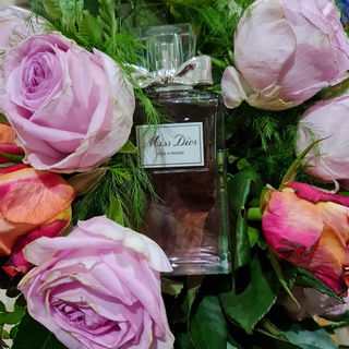 Miss Dior Rose N'Roses (Eau de Toilette) von Dior