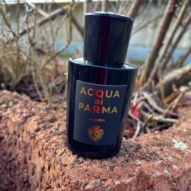 Ambra (Eau de Parfum) - Acqua di Parma