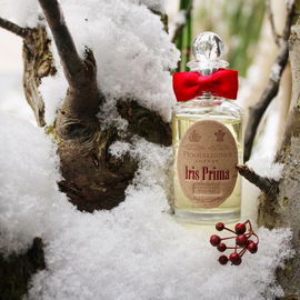 Iris Prima - Penhaligon's