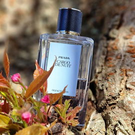 ***Auf jeden langen Winter folgt ein belebendes Frühlingserwachen 🌸😎🌞 - lieben Dank für Euren Besuch und genießt den Frühling 🌸💐🥰***
