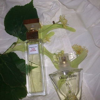 5th Avenue (Eau de Parfum) by Elizabeth Arden