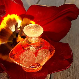 Liebe Grüße an alle zum Valentinstag 2019