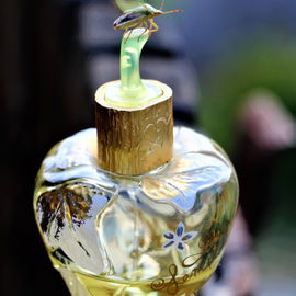Fleur Défendue / Forbidden Flower - Lolita Lempicka